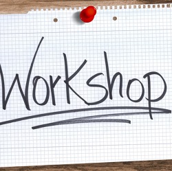 Workshop des Landesverbandes      